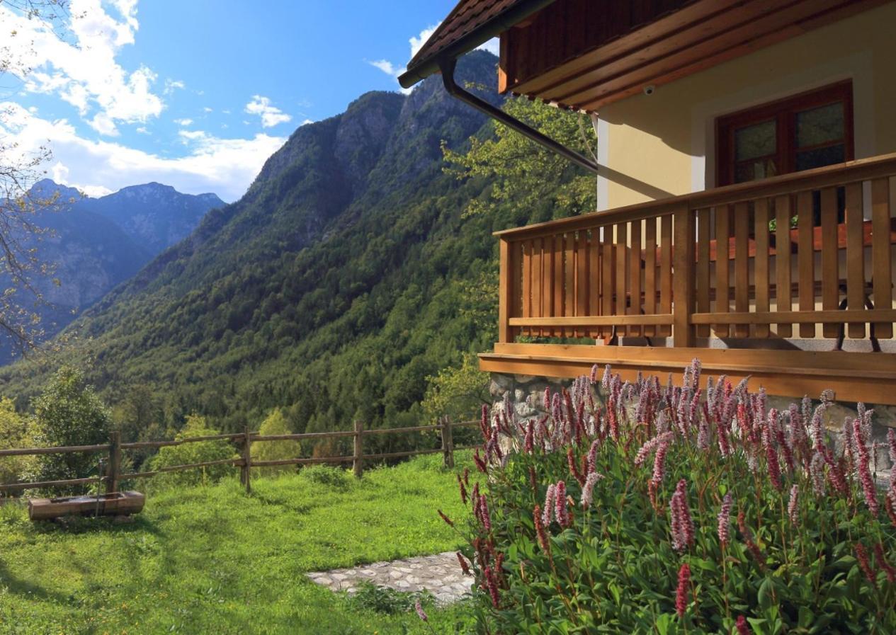 Zadnjica Holiday House Soča Zewnętrze zdjęcie